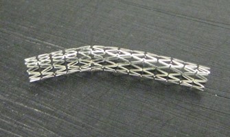生物-3.jpg
