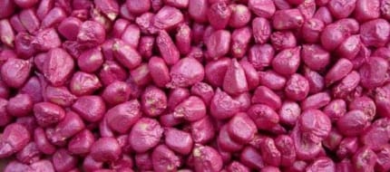 Seed coating measurement solution - filmetrics F3-s1310 Film Thickness Measuring instrument